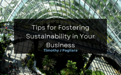 Tips for Fostering Sustainability in Your Business