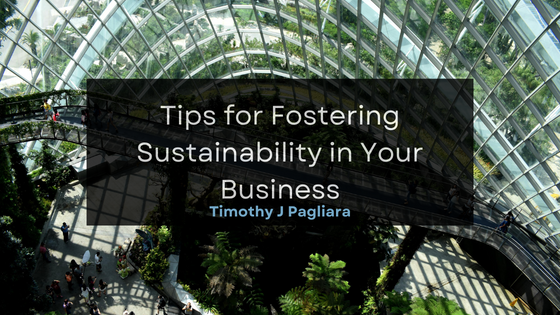 Timothy J Pagliara Tips for Fostering Sustainability in Your Business